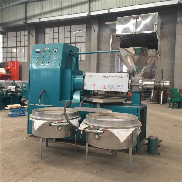 Commercial Seed Oil Extractor for Olives Peanuts Nuts Sunflower Seeds Sesame