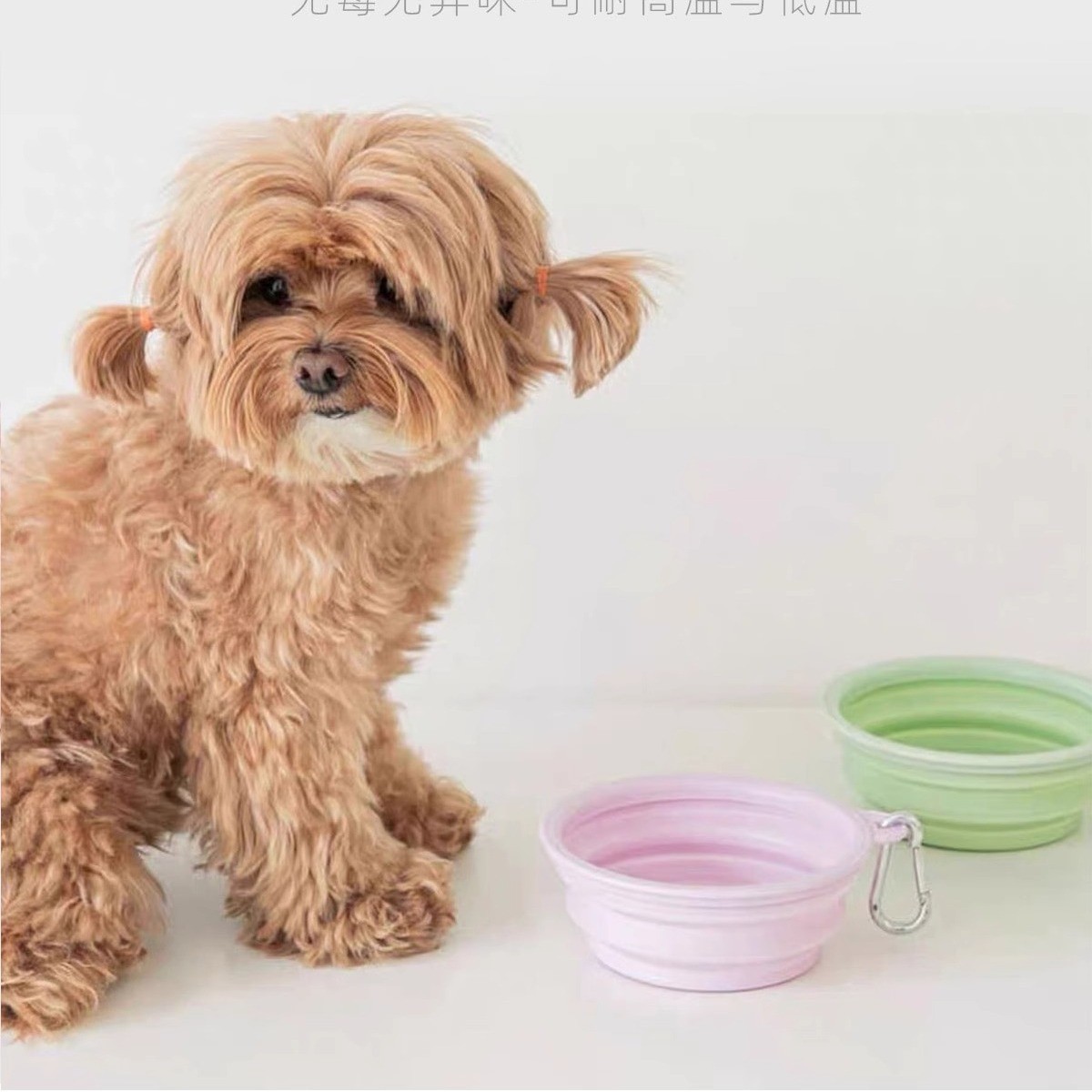Silicone Collapsible Dog Bowls BPA Free Portable Foldable Travel Bowl For Pet Cat Food Water Feeding Dish For Camping