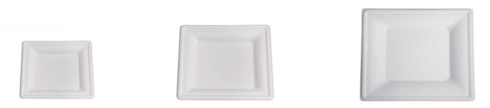 Sugarcane Bagasse Pulp Disposable Party Plates , Bamboo Compostable Plates