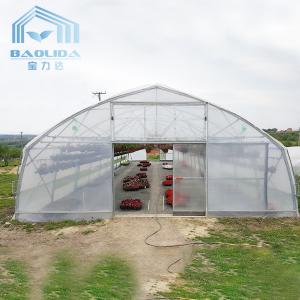 Buy cheap Plants Growing System Greenhouse Steel Pipe Structure Hoop Tunnel Plastic Greenhouse product