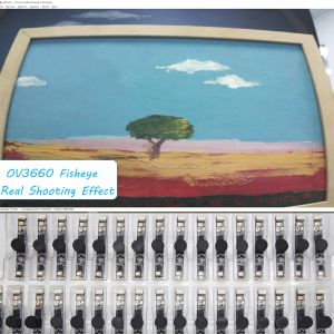 OEM OV3660 120 Degree Infrared Fisheye Camera Module 0.3MP Laptop USB Camera