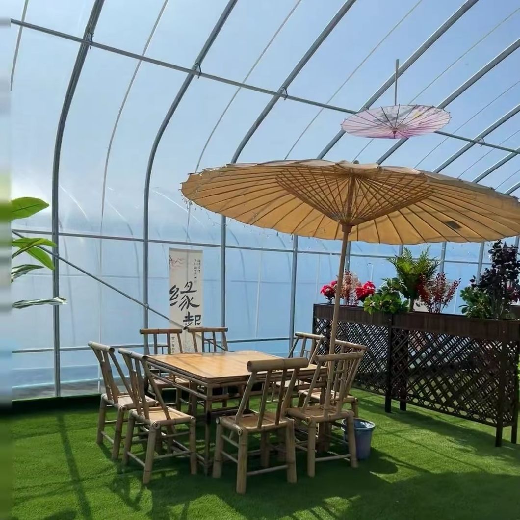 Sunlight Greenhouse Flower Planting Drip Irrigation