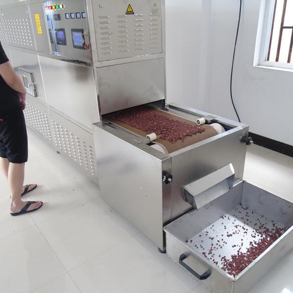 1000mm Belt Continuous Tunnel Dryer Microwave Sterilizer Industrial Drying