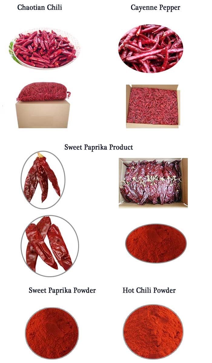 Powder Shape Hotness Dried Chilli , Natural Spices For Cooking 160 - 210 ASTA