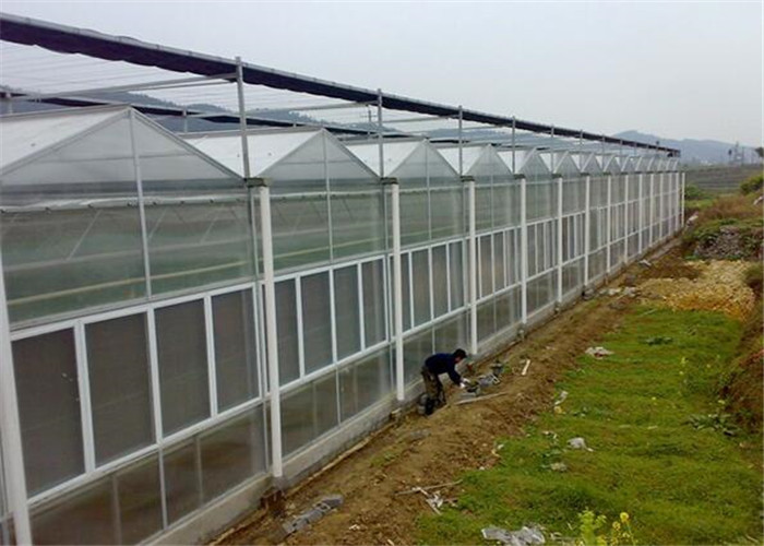 Large Size Polycarbonate Greenhouse Kit 2.8mm - 20mm Thickness With Stable Structure