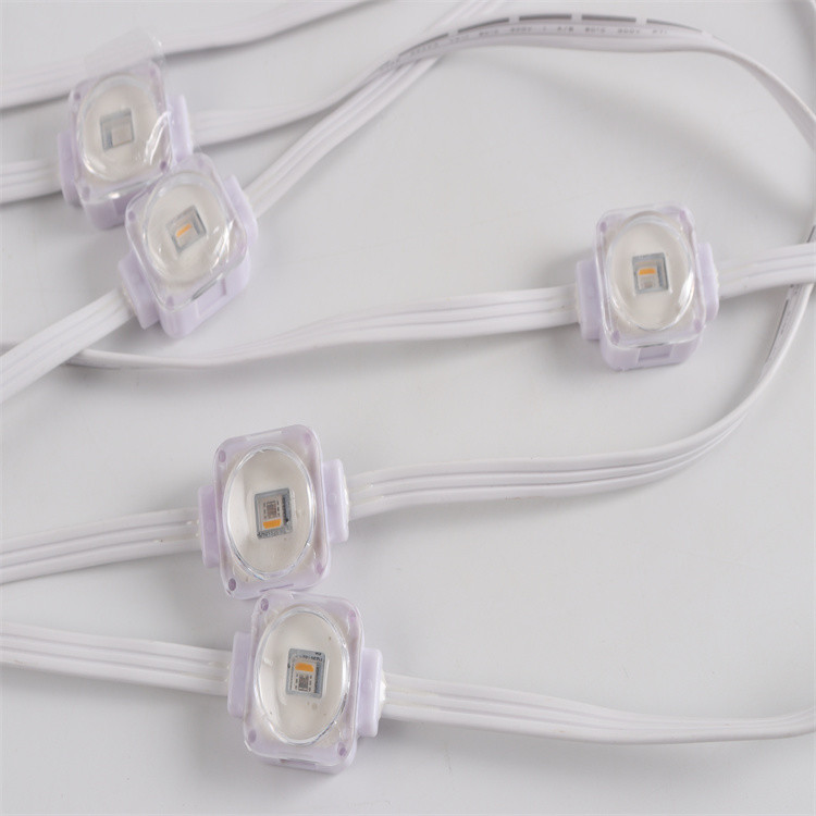 Holiday Christmas Outdoor 25MM 1.5W Waterproof Permanent Outdoor Lights Rgb Permanent Outdoor Rgb Eaves Light