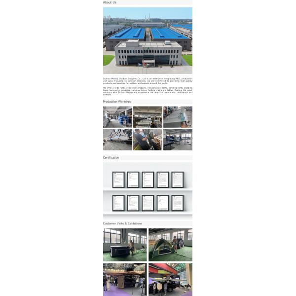 2.3m Car Roof Tent Camping 300gsm Polyester Hard Shell Ladder For SUV Van