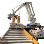 Boxes Bags Cartons Robotic Case Packer And Palletiser