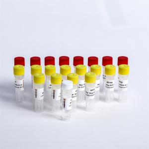 Buy cheap Universal Adapter PCR Primers Multiplex Oligos 1 For Illumina K002-A product