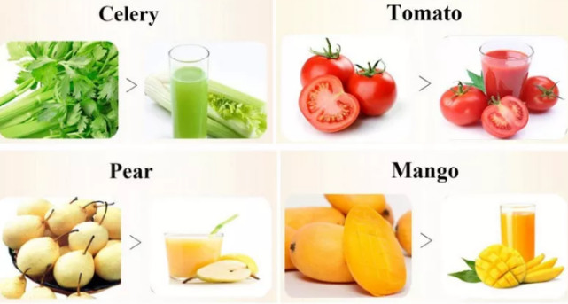 High Efficiency Commercial Coconut Milk Screw Pressing Juicer Extracting Machine