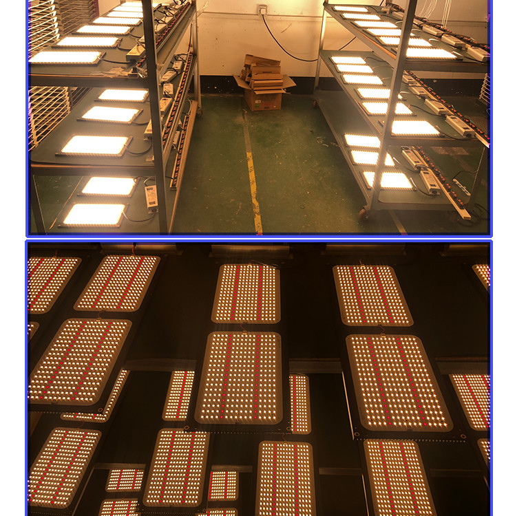 240W Full Spectrum LED Grow Lights