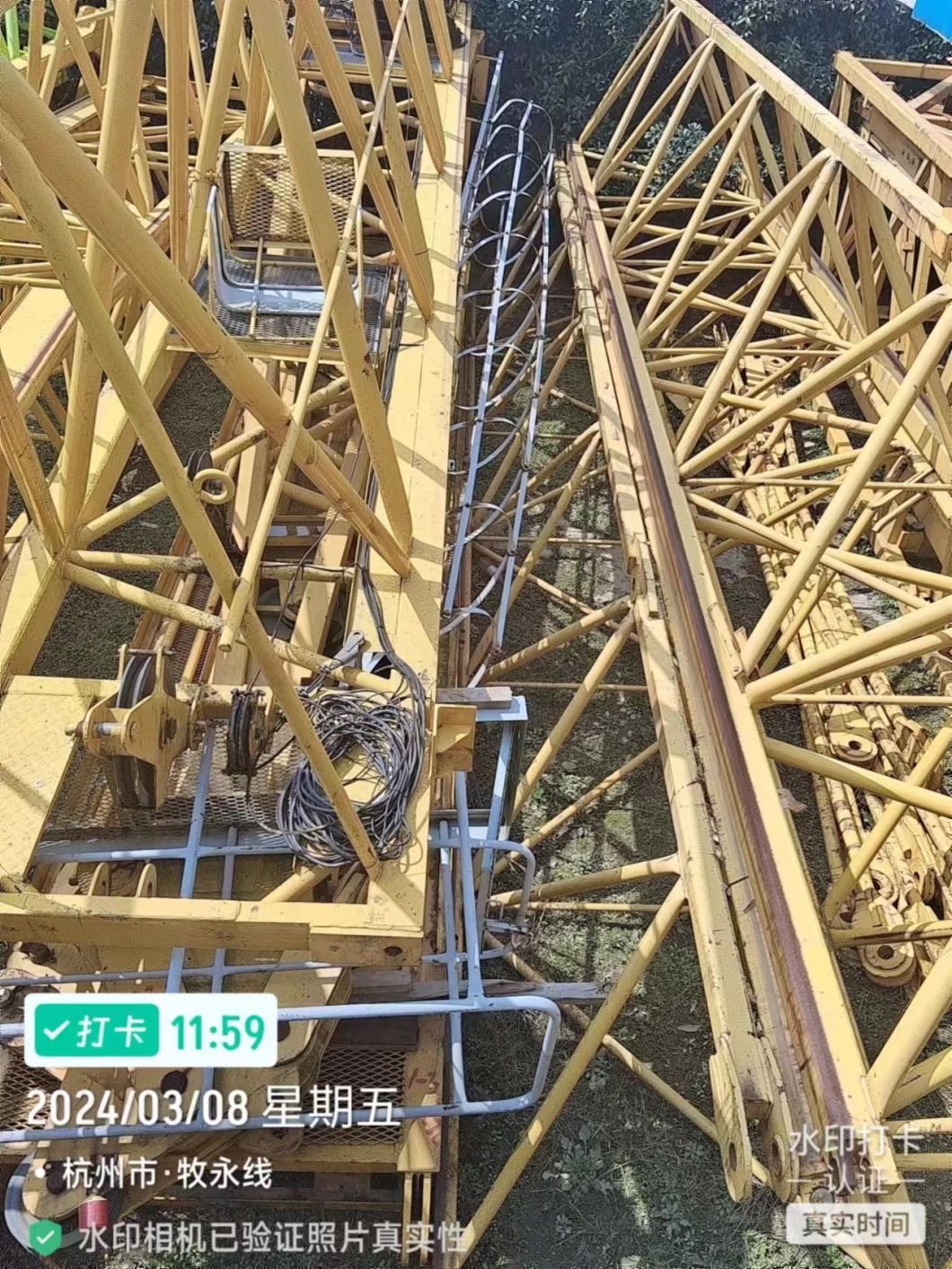 Zoomlion, Construction Machinery, Xc Mg and Other Big Brand Tower Crane for Sale
