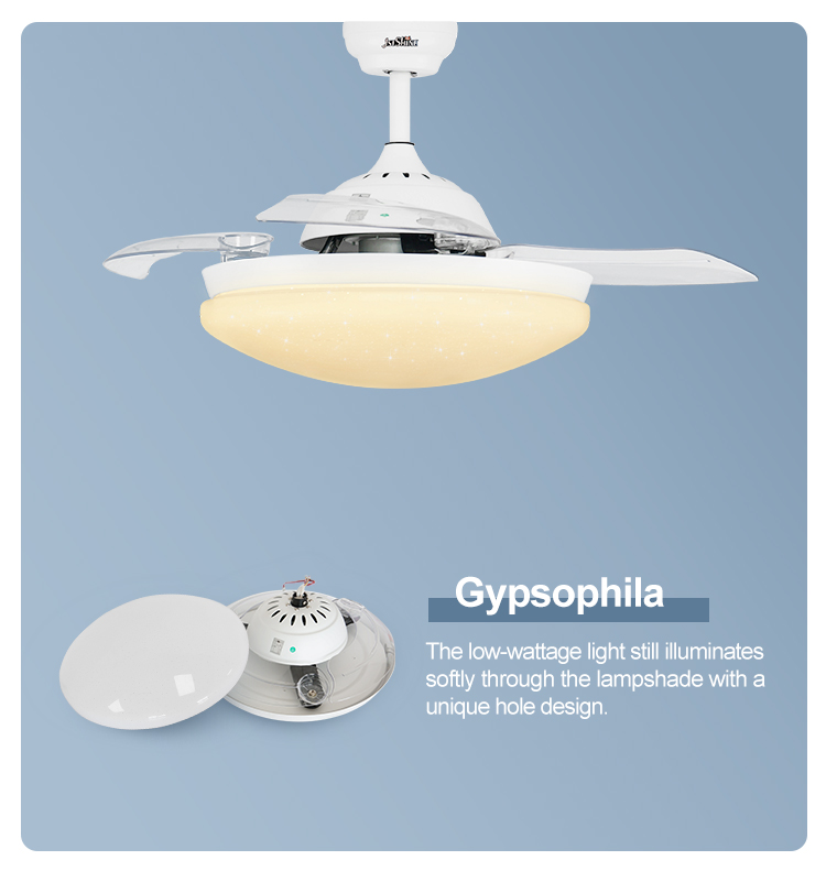 Invisible ceiling fan