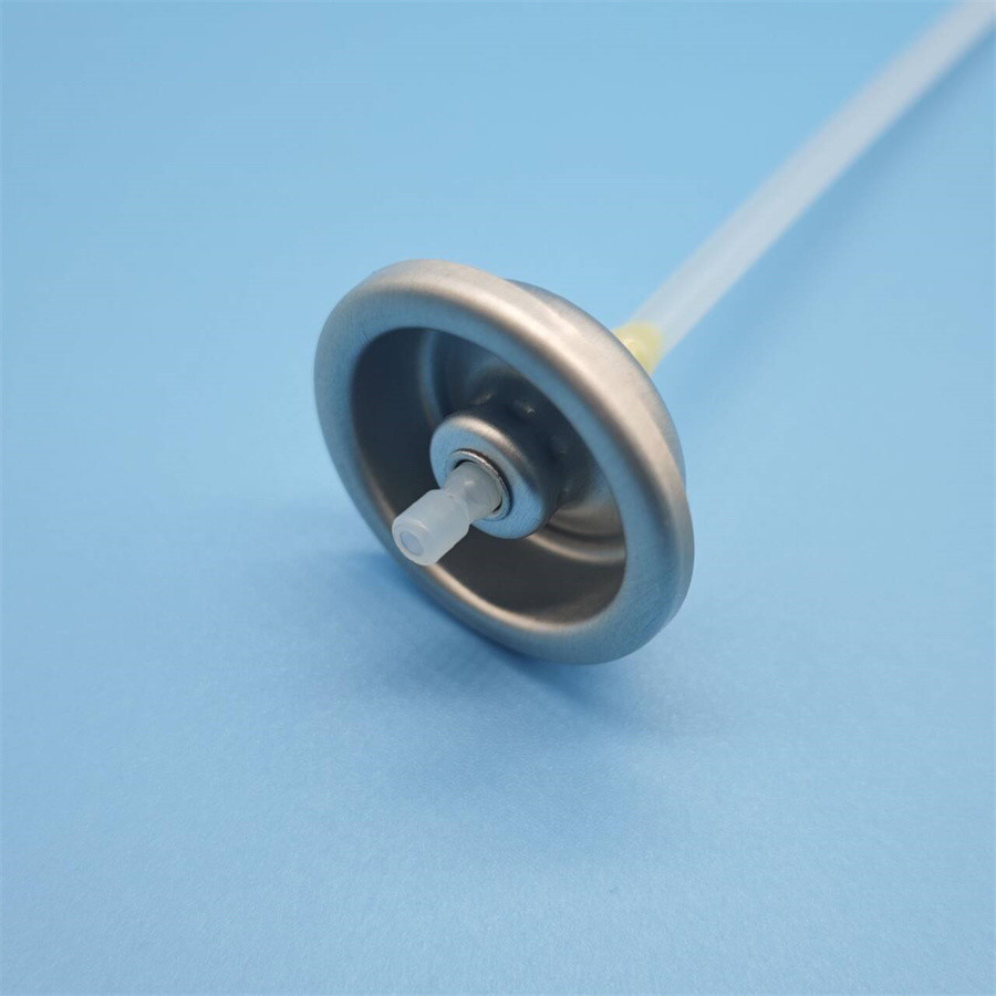 Decorative Facial Water Spritzer Valve for Aesthetic Appeal - Stylish Design with Functional Use
