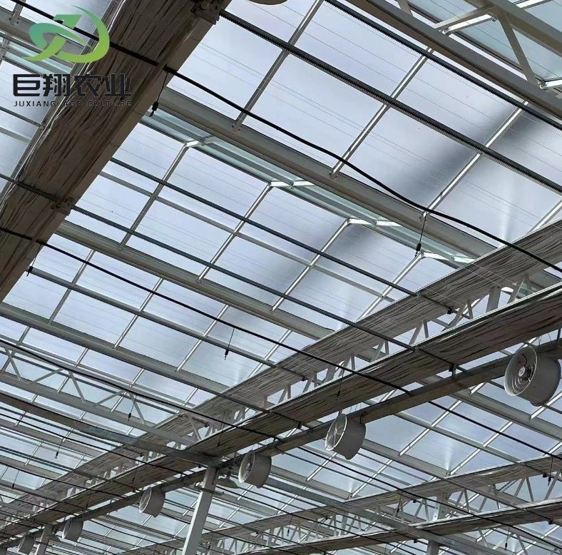 Juxiang Reefer Container Greenhouse