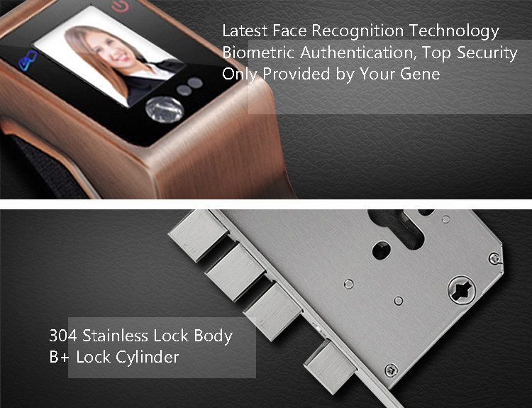 Security Big Panel Fingerprint Zinc Alloy Door Lock IR Face Recognition