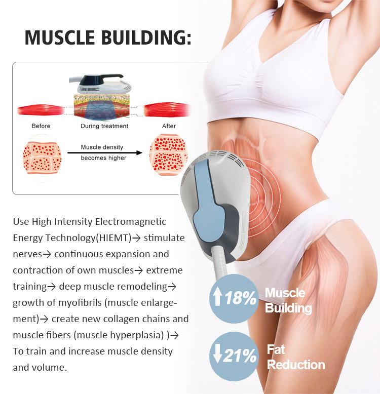 800W-3500W Body Sculptor Machine 10D Laser HIEMT Body Sculpt Machine For Tightening / Slimming