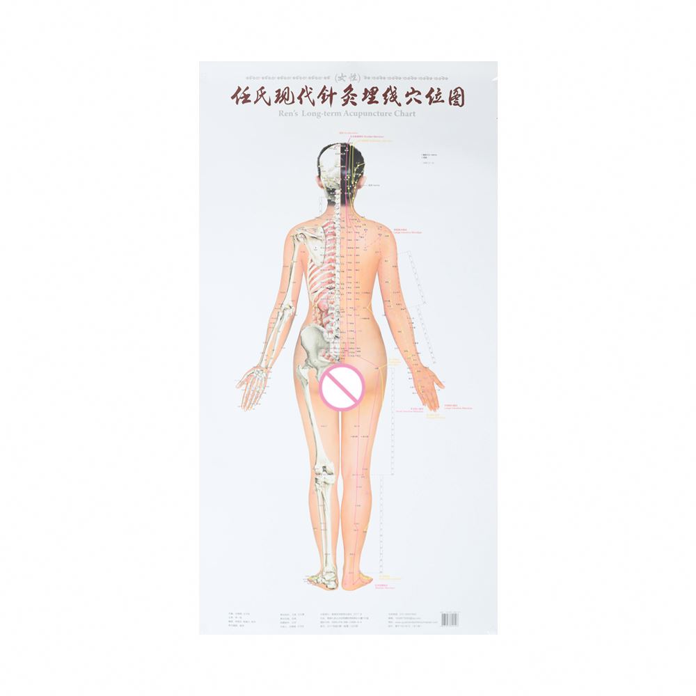 Body Meridian Acupuncture Culture Modern Acupuncture And Embedding Point