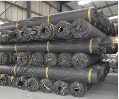 Waterproof HDPE Geomembrane Durable Solution for Fish Ponds and Sewage Treatment Plants