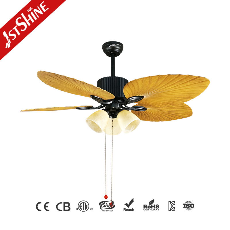 ceiling fan
