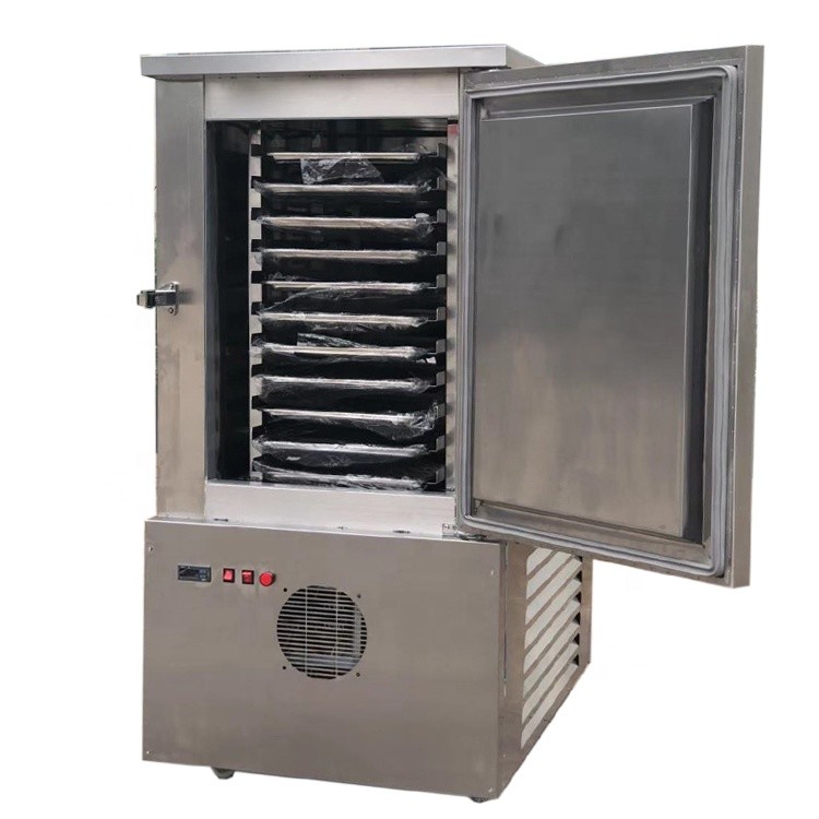 Hot Sale Factory Supply Industrial 178 L Fast Cooling Blast Freezer for Food Quick Freezing Machine for fish