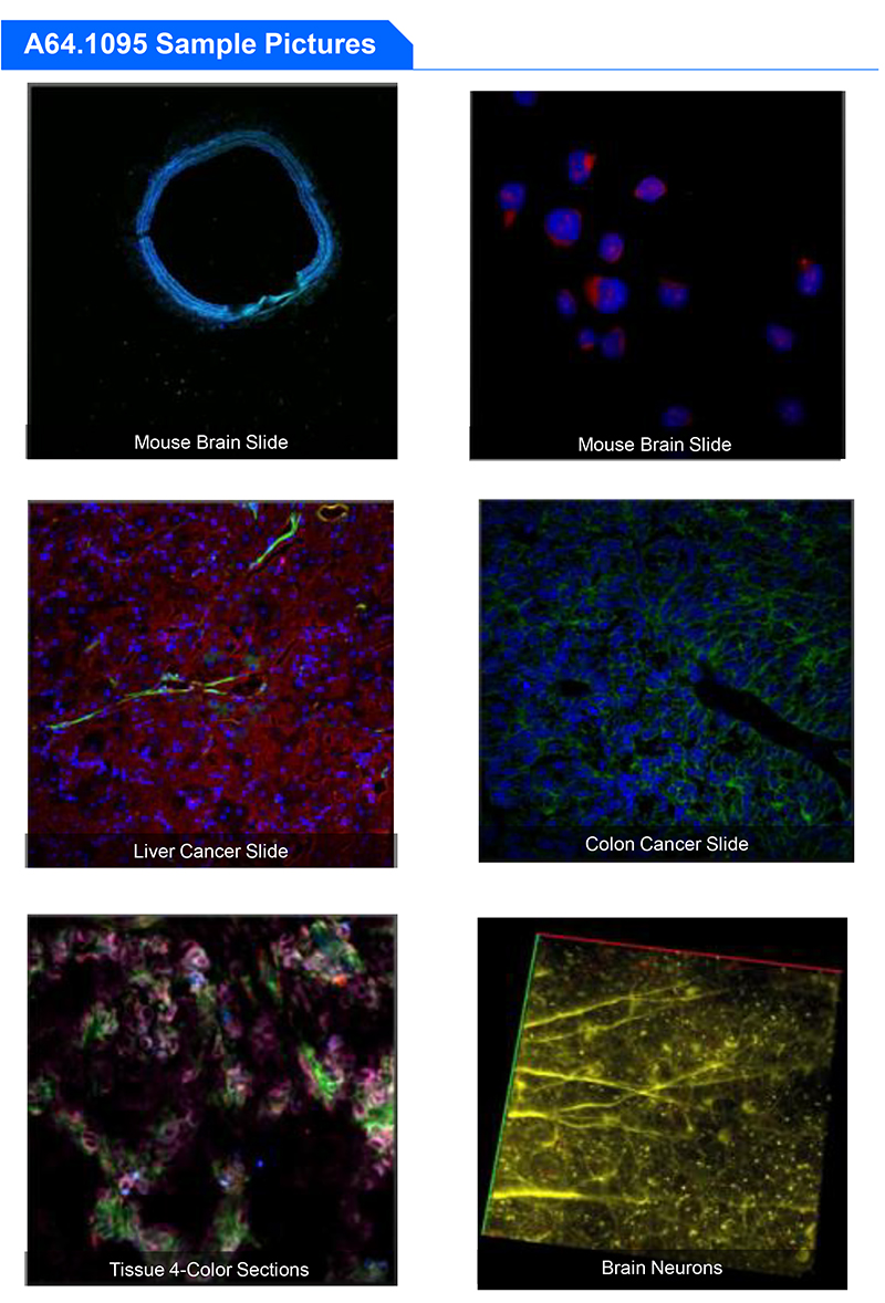 A64.1095 Opto Edu Laser Confocal Microscope Full Auto Motorized