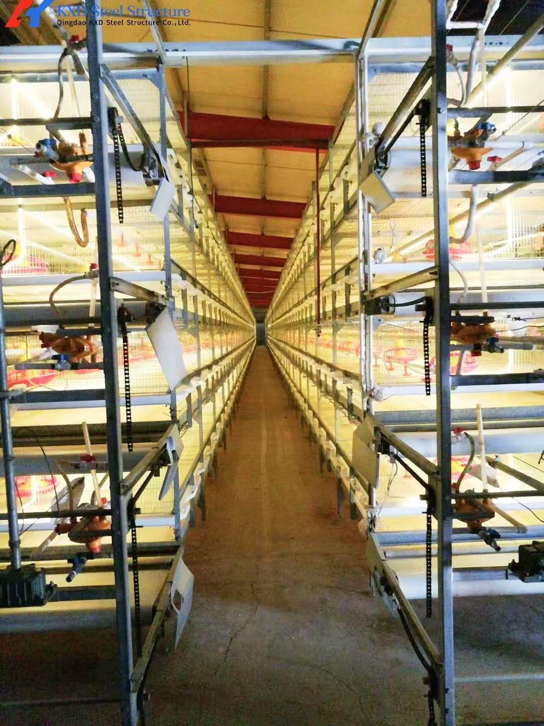 Broiler Poultry Farming Equipment H Type Galvanized Automatic Battery Chicken Cages
