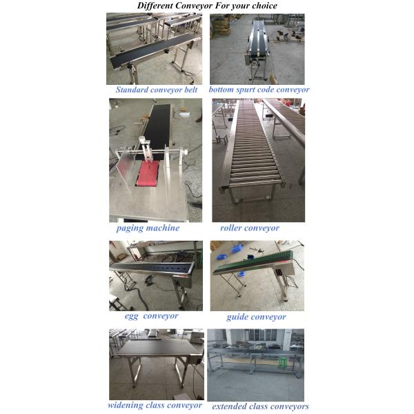 Food Processing Industrial Conveyor Belts Green PVC / PU Custom Conveyor Belts