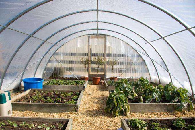 Agricultural PE Film, Agriculture Polyethylene, Film, mulch films, horticultural polyethylene film 2