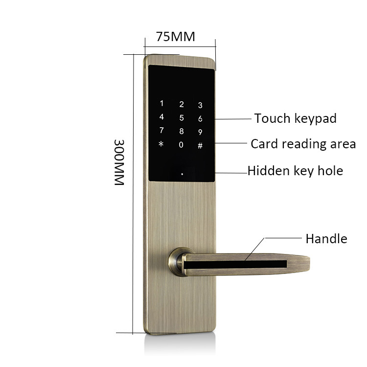 Home Apartment Room Smart Keypad Door Lock with Bluetooth TTlock App