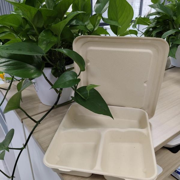 Directly supplied by Chinese manufacturers. Disposable environmentally friendly