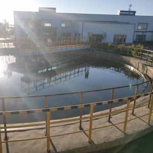 Buy cheap 4.5m Sludge Scraper System Automatically Shut Down And Alarm product