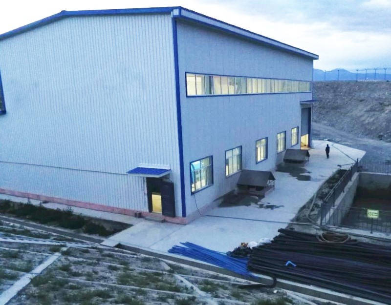 50/60Hz Pelton Turbine Generator With Brushless Excitation And Micro Governor