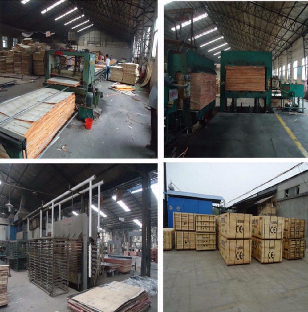 E1 Glue Poplar Core White Faced Plywood Sheets For Furniture