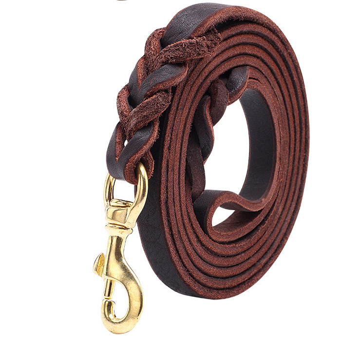 black leather dog leash