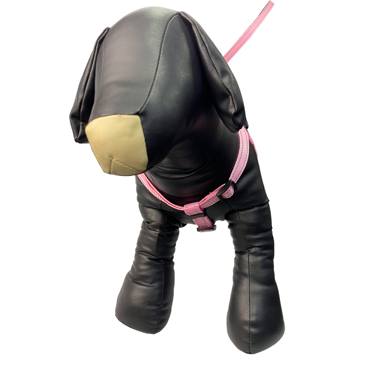 Personalized Buckle Waterproof Dog Leash
