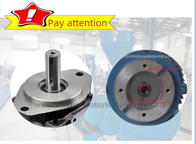 hydraulic motor