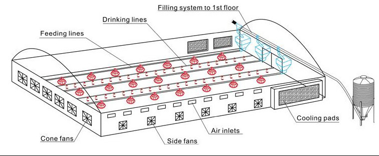 Broiler Poultry Feeding Equipment For Chicken House