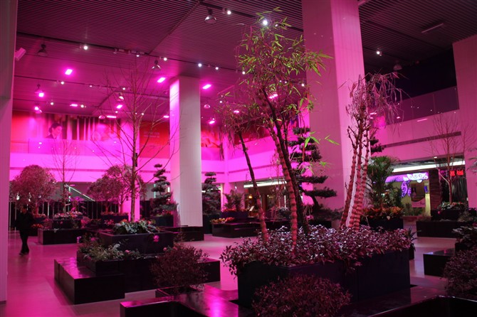 150W Plant light led hanging grow light for greenhouse vegetable growing RGB ceiling grown light 85% save energy