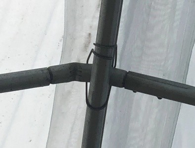 Agricultural Tunnel Greenhouse Single Span PE Film Greenhouse For Flowers Plant