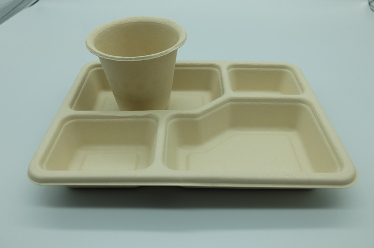 Takeaway Biodegradable Disposable Dinnerware / Sugarcane Pulp Containers