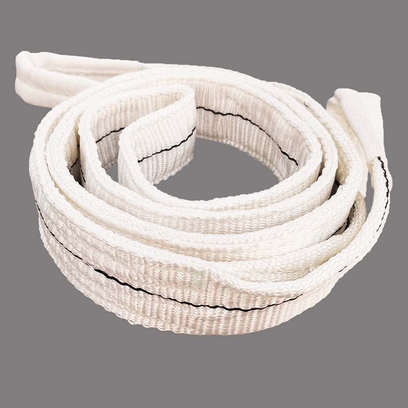 Color Code Duplex Lifting Pulley Polyester Flat Webbing Sling 25mm 300mm 1T