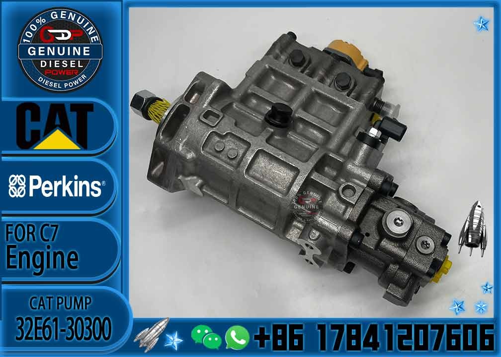 CAT 311D 3114D 3115D 312D C4.2 Injection Pump 3589085 358-9085 Diesel Fuel Pump 32E61-30300