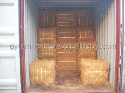 2024 Automatic Horizontal Hydraulic Straw Hays Silage Grass Baler Machine with Design