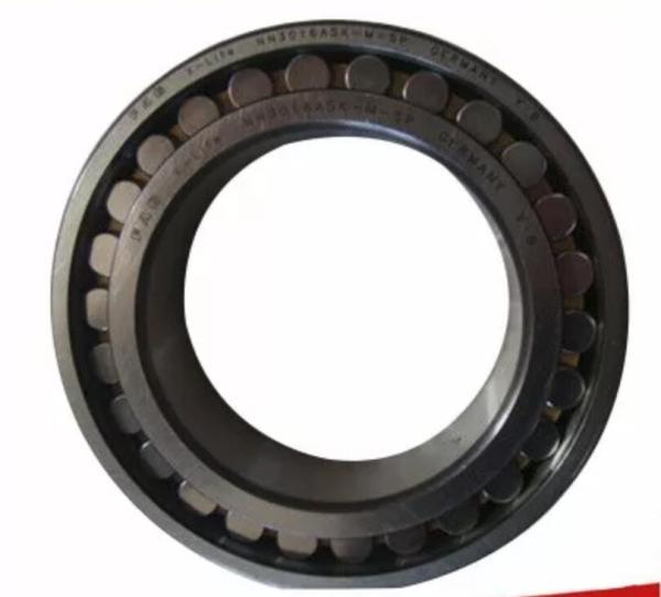 GCr15 Double Row SL014838 Cylindrical Roller Bearings