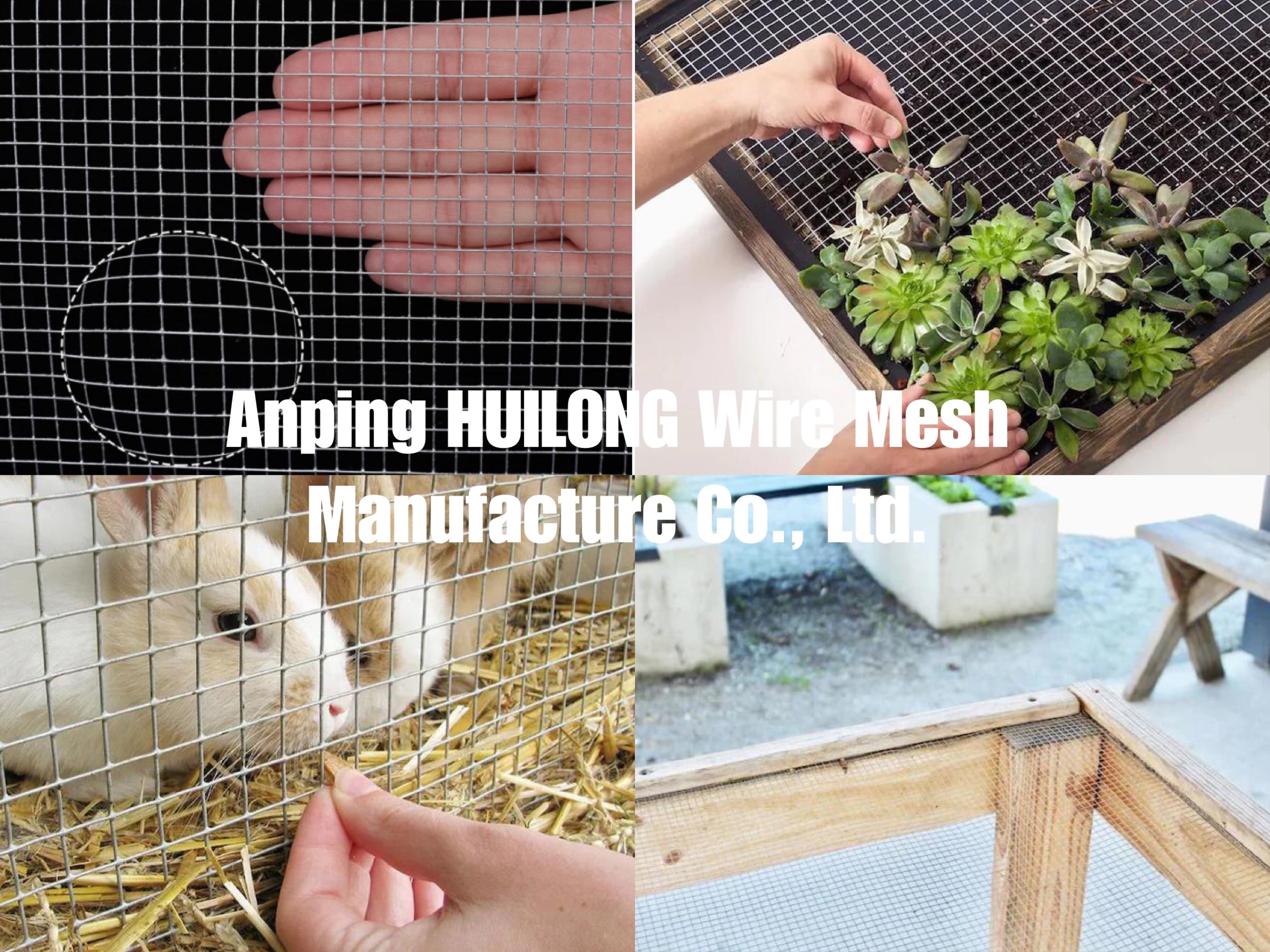 Plaster Welded Wire Mesh Rolls 1.2m*30m Hardware Cloth for Building Construction