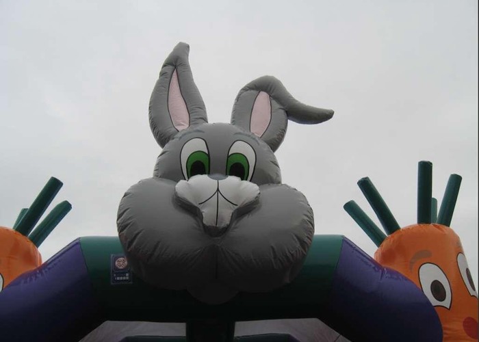 Party Used Small Kids Inflatable Jumping Castle With Carrot And Rabbit 4X4M