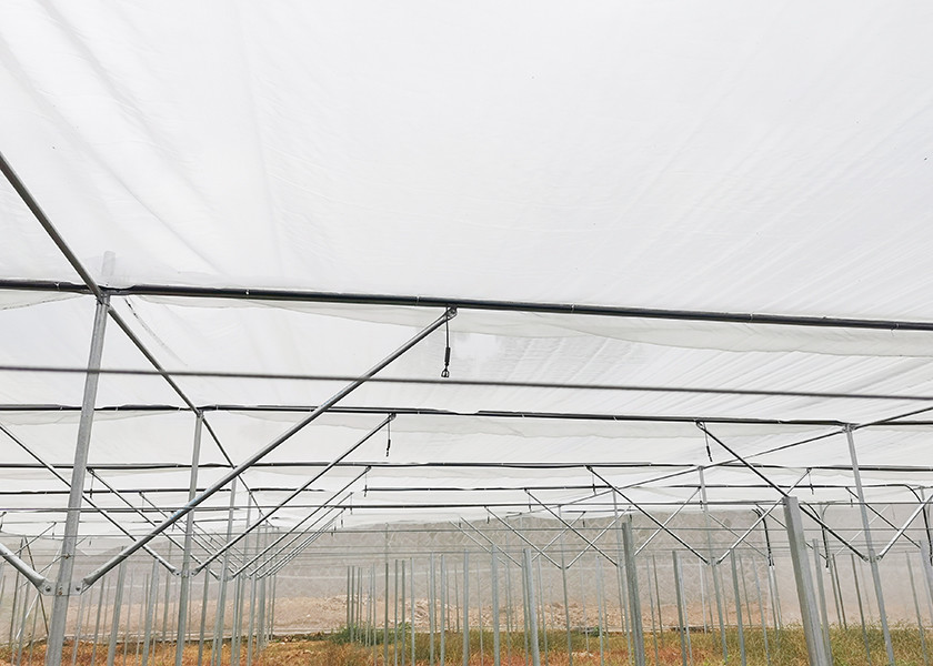 Strong Frame Metal Frame Greenhouse For Potted Flower Cultivation