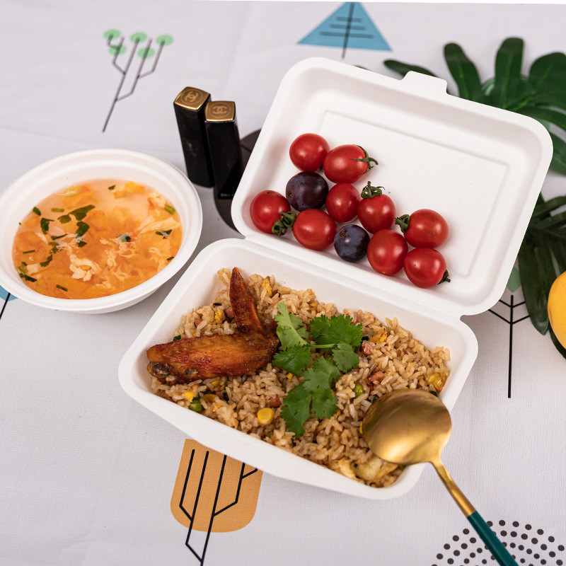 Sugarcane Biodegradable Clamshell Boxes Tableware Take out Food