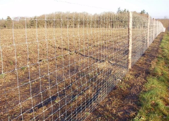 1.5m Height Farm Galvanized Design Cattle Mesh Fencing